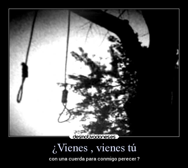 ¿Vienes , vienes tú - con una cuerda para conmigo perecer ?