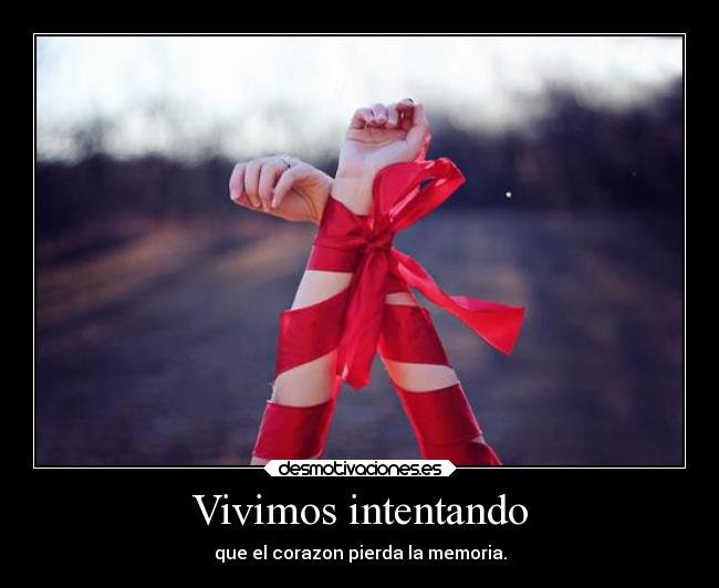 Vivimos intentando -