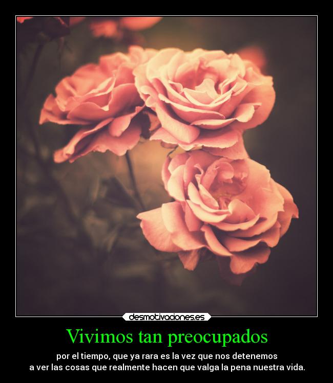 Vivimos tan preocupados - por el tiempo, que ya rara es la vez que nos detenemos
a ver las cosas que realmente hacen que valga la pena nuestra vida.