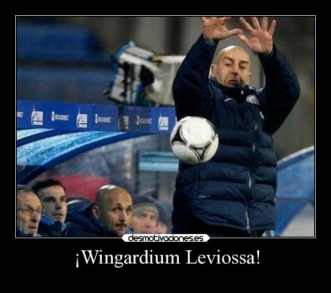 ¡Wingardium Leviossa! - 