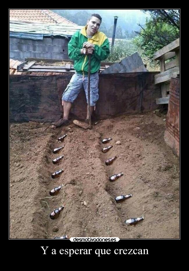 Y a esperar que crezcan -