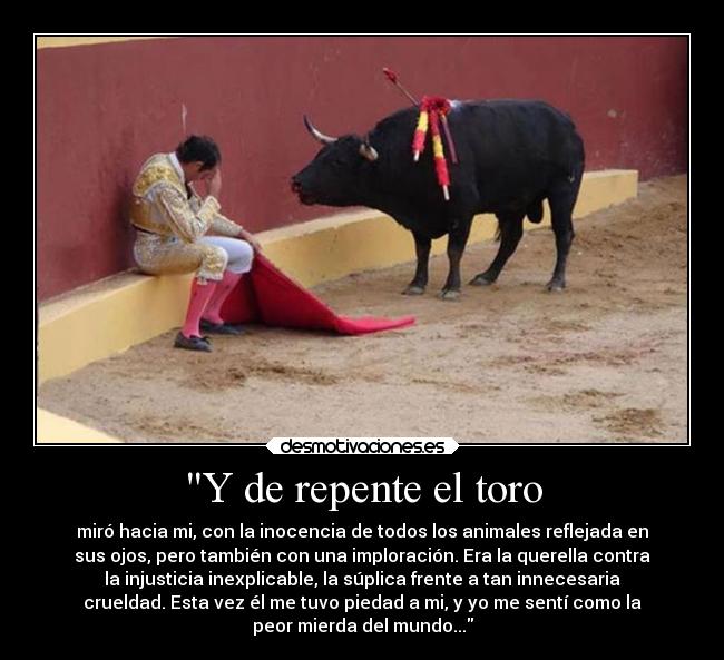 Y de repente el toro - miró hacia mi, con la inocencia de todos los animales reflejada en
sus ojos, pero también con una imploración. Era la querella contra
la injusticia inexplicable, la súplica frente a tan innecesaria
crueldad. Esta vez él me tuvo piedad a mi, y yo me sentí como la
peor mierda del mundo...