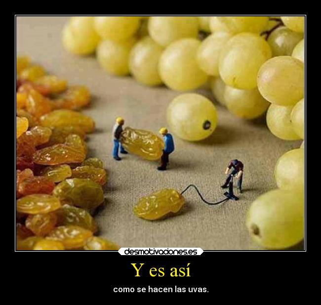 Y es así -