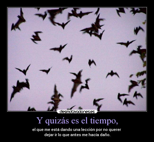 Y quizás es el tiempo, - el que me está dando una lección por no querer
dejar ir lo que antes me hacía daño.