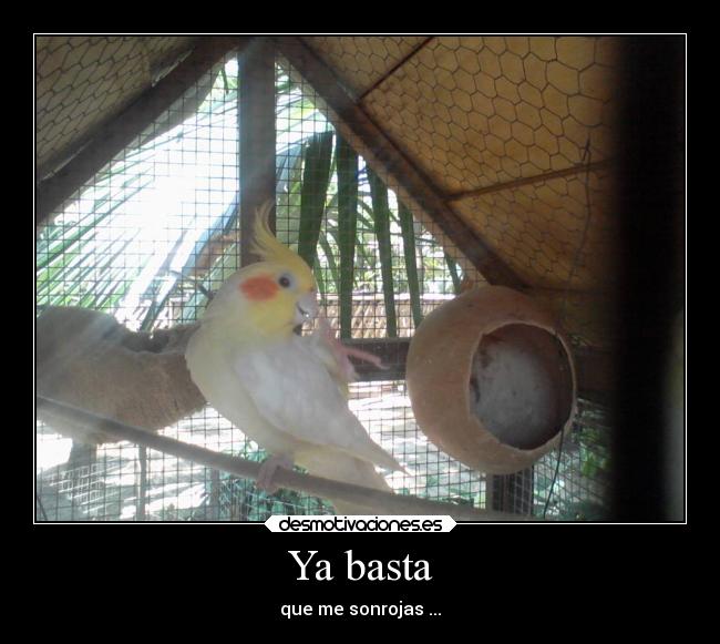 Ya basta - que me sonrojas ...