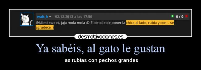 Ya sabéis, al gato le gustan - 