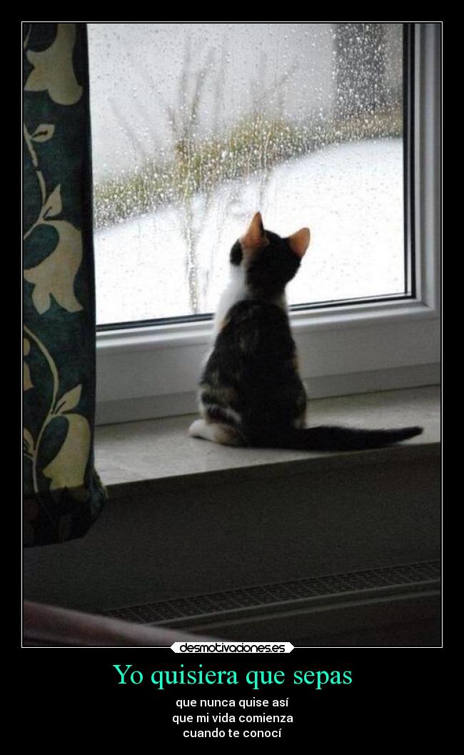 Yo quisiera que sepas - que nunca quise así
que mi vida comienza
cuando te conocí