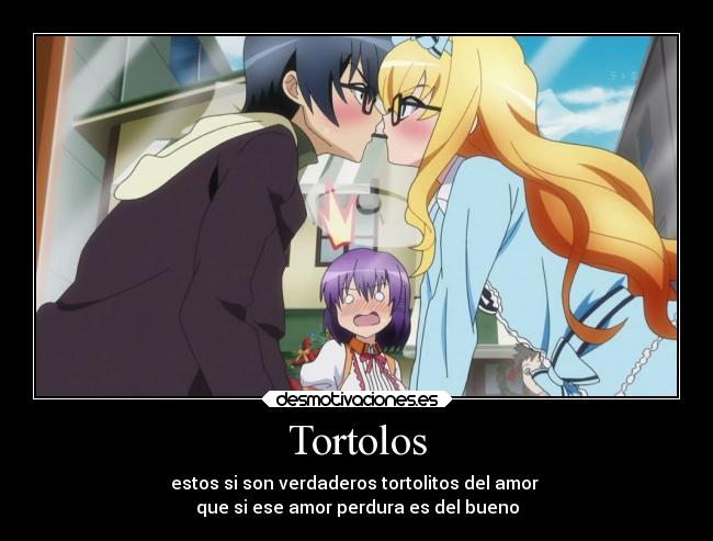 Tortolos -