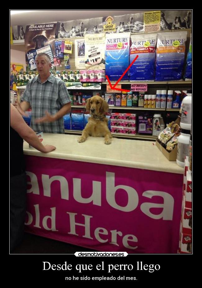 Desde que el perro llego -