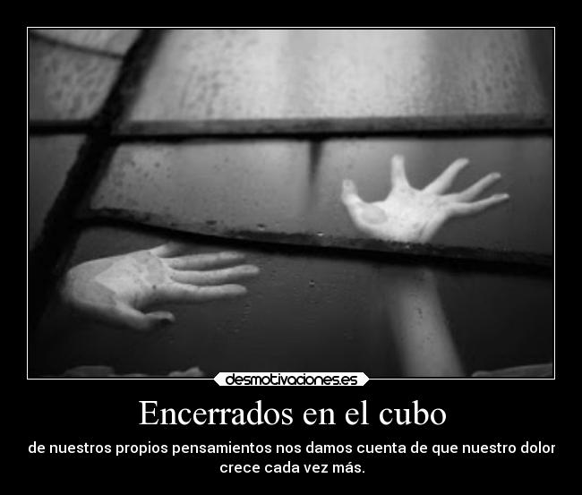 Encerrados en el cubo - 