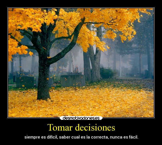 Tomar decisiones - siempre es difícil, saber cual es la correcta, nunca es fácil.