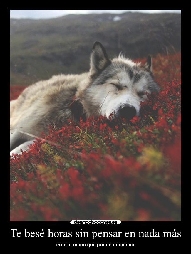 Te besé horas sin pensar en nada más - eres la única que puede decir eso.