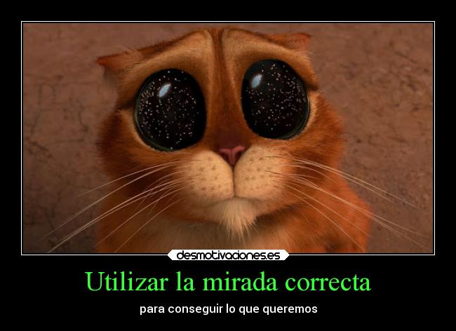 Utilizar la mirada correcta - 