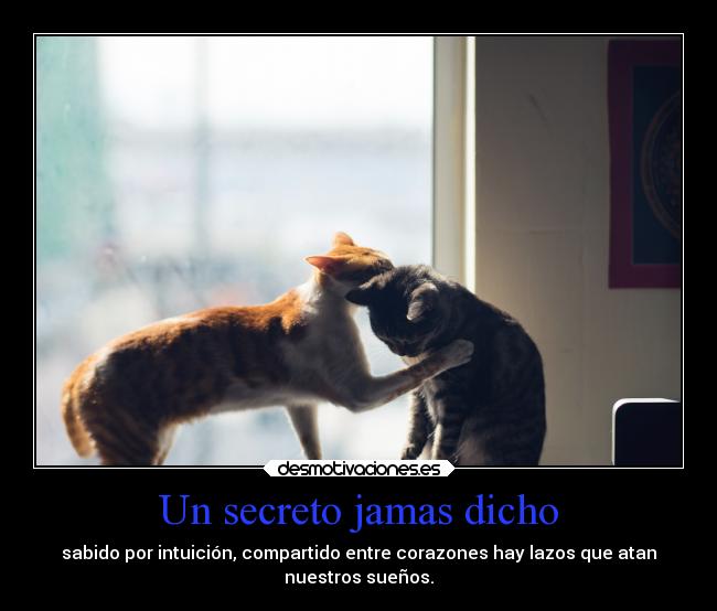 Un secreto jamas dicho - 