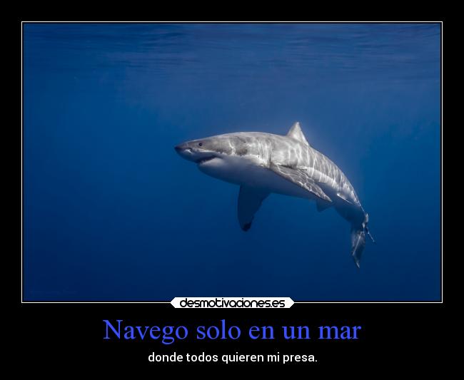 Navego solo en un mar - 