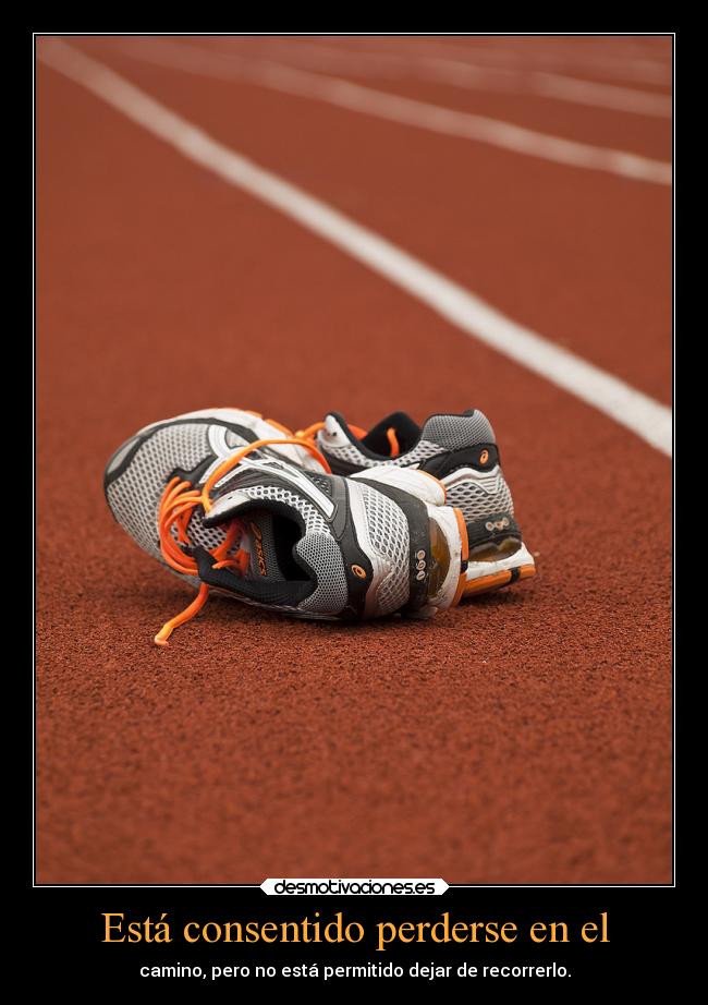 Está consentido perderse en el - 
