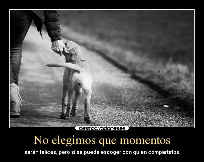 No elegimos que momentos - 