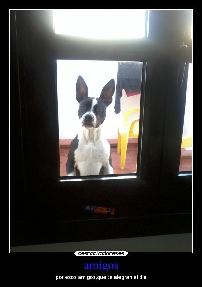 amigos - por esos amigos,que te alegran el dia