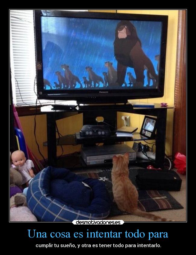 carteles amigos celos desmotivaciones