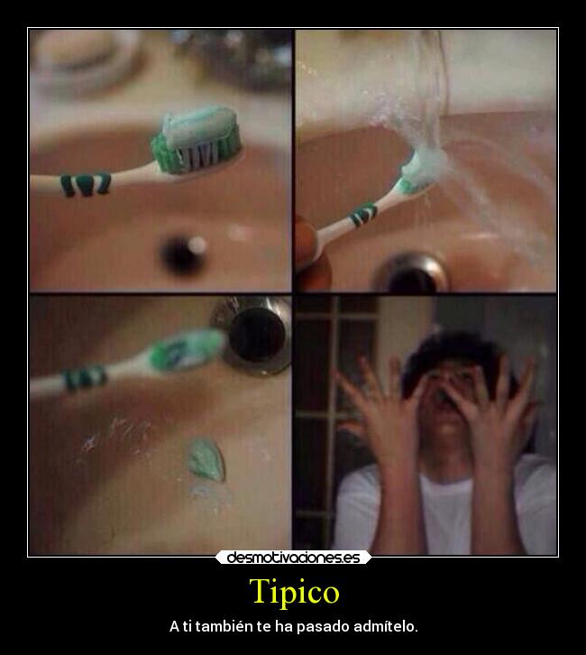 Tipico - 