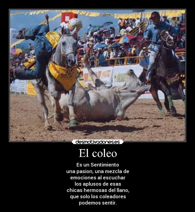 El coleo | Desmotivaciones