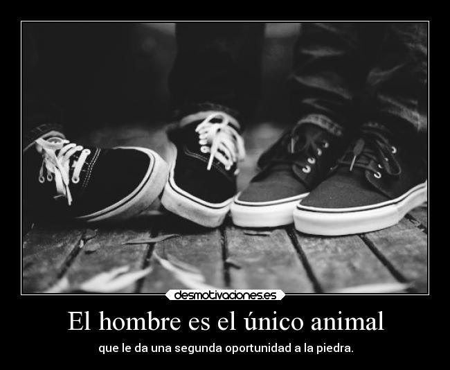 El hombre es el único animal -
