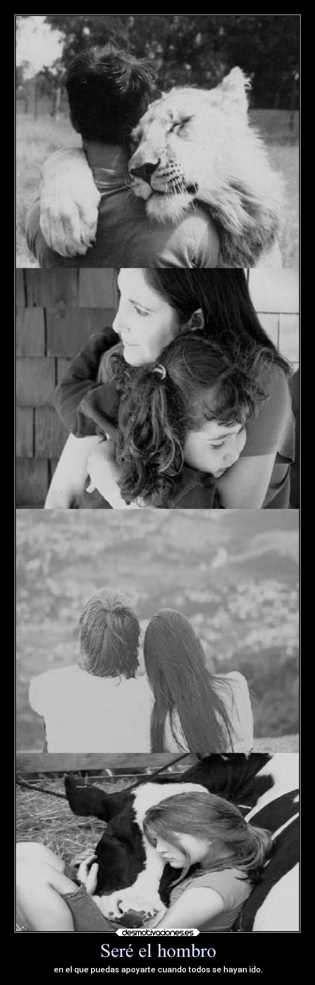 Seré el hombro - en el que puedas apoyarte cuando todos se hayan ido.