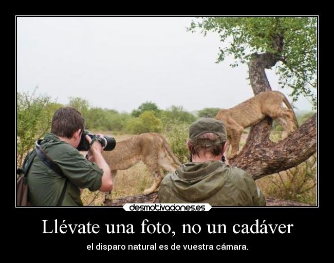 Llévate una foto, no un cadáver - el disparo natural es de vuestra cámara.