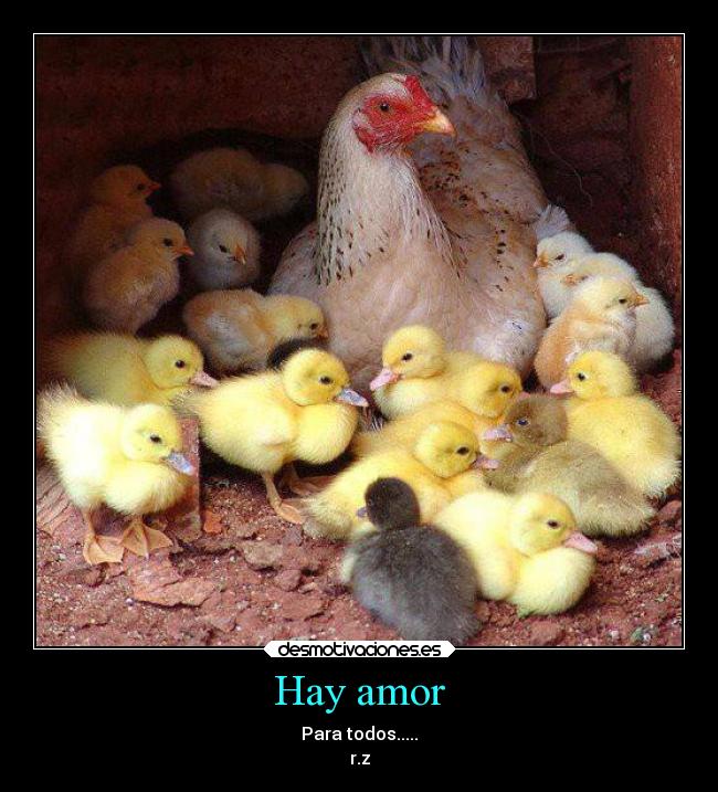 Hay amor - Para todos.....
r.z