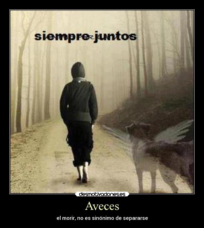 carteles amor desmotivaciones