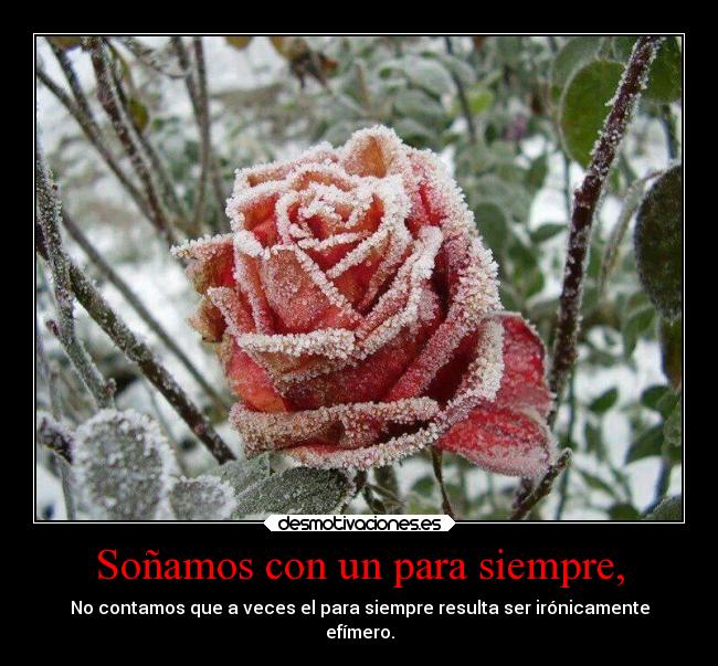 carteles amor desmotivaciones