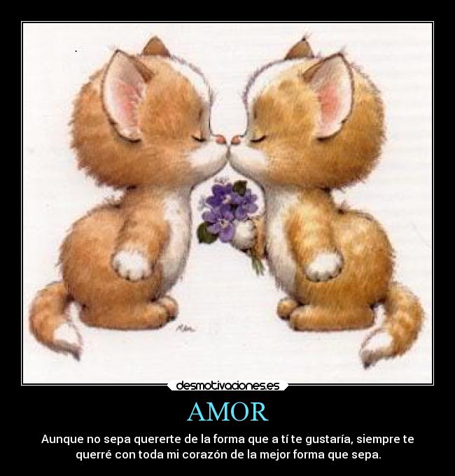 AMOR - 