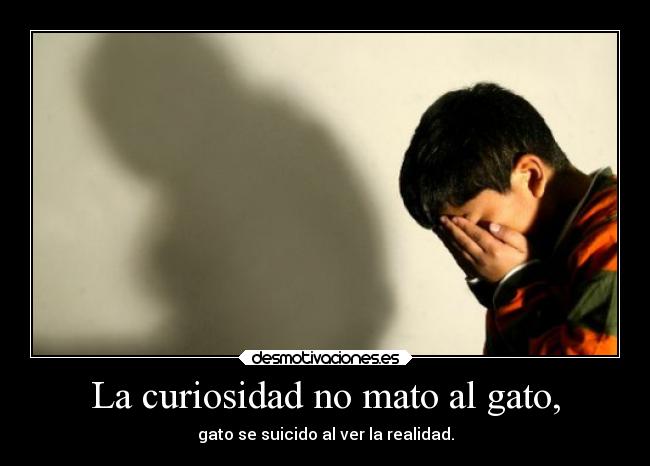 La curiosidad no mato al gato, - 