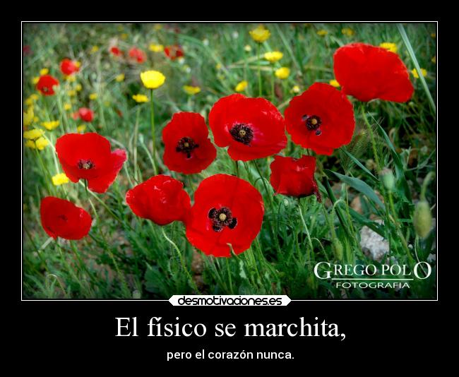 El físico se marchita, - pero el corazón nunca.