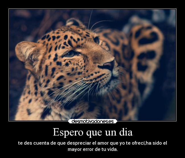 Espero que un dia - 