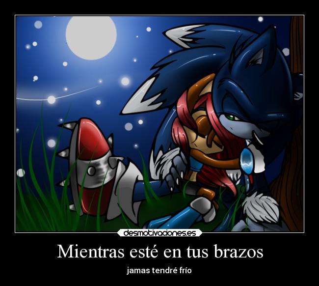 carteles amor sonic sally acorn sonally desmotivaciones