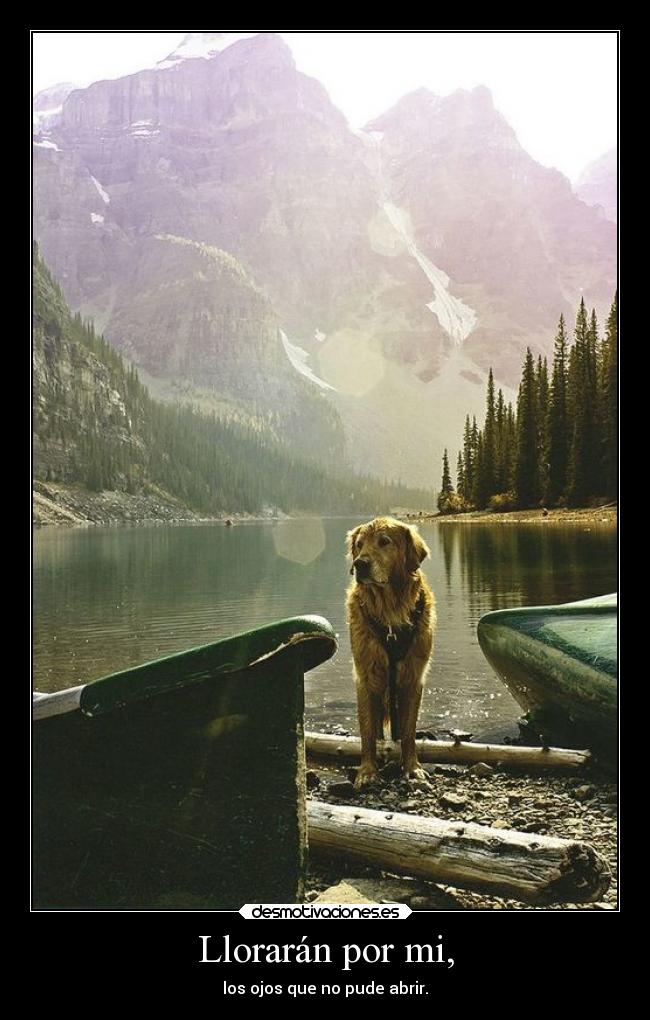 Llorarán por mi, - los ojos que no pude abrir.