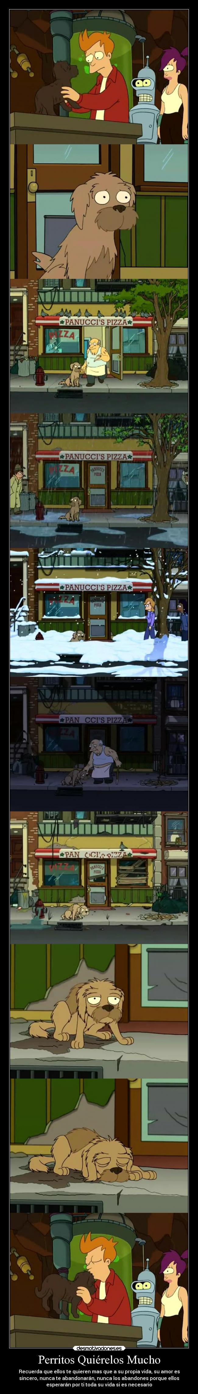 carteles animales amigos amistad amor desmotivaciones