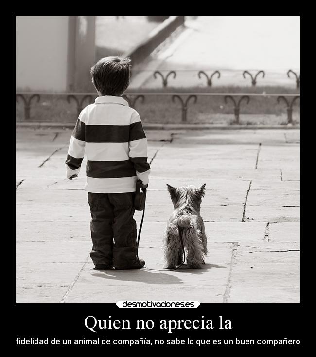 Quien no aprecia la -