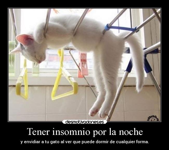 carteles animales celos bizcobizcobizcobizcobizcobizcobizcobizcobizcobizcobizcobizcobizcocho ejercitodemar desmotivaciones