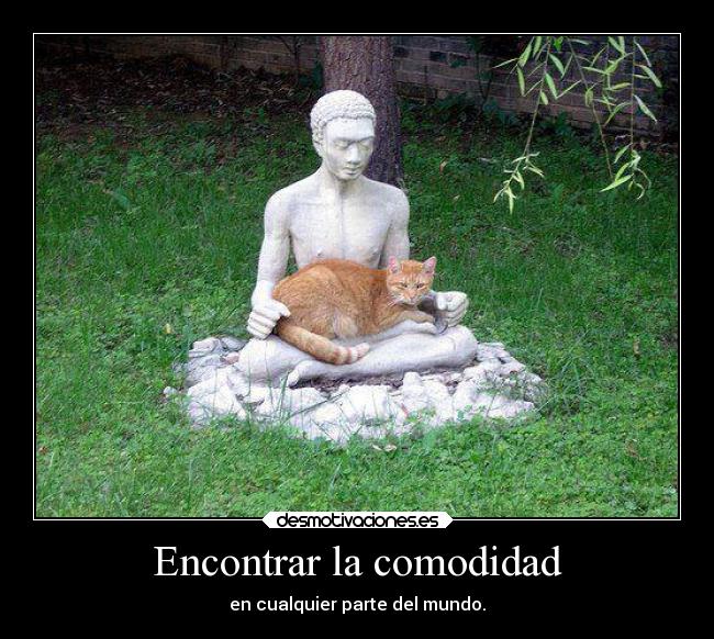 Encontrar la comodidad - 