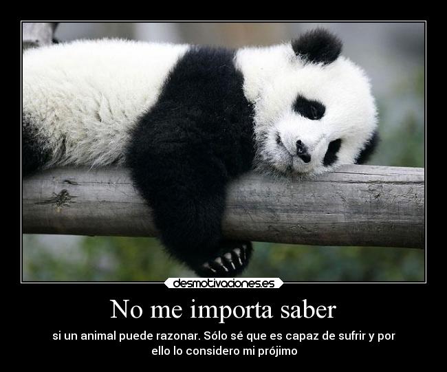 No me importa saber - si un animal puede razonar. Sólo sé que es capaz de sufrir y por
ello lo considero mi prójimo