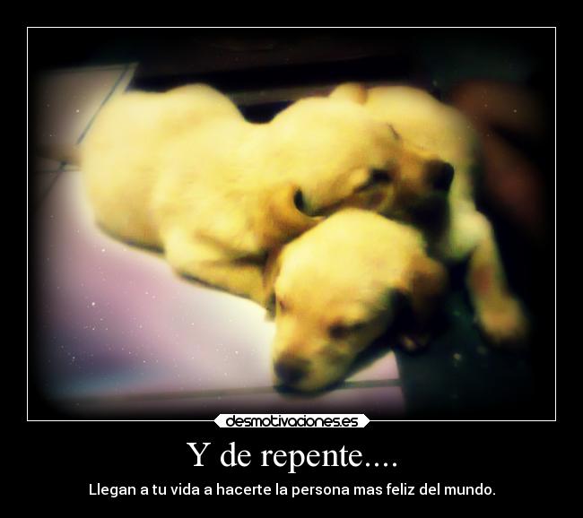 carteles animales desmotivaciones