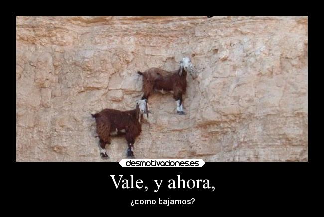 carteles animales desmotivaciones