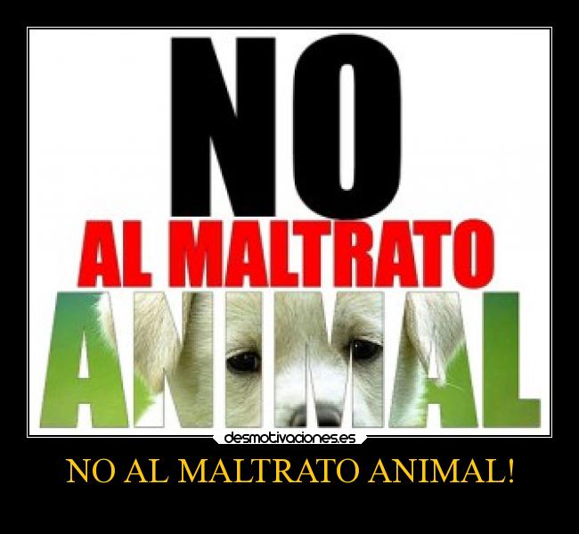 NO AL MALTRATO ANIMAL! - 