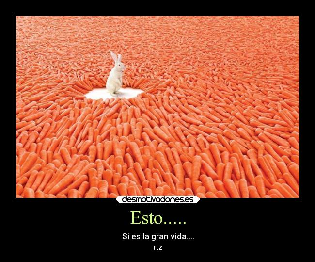 Esto..... - Si es la gran vida....
r.z