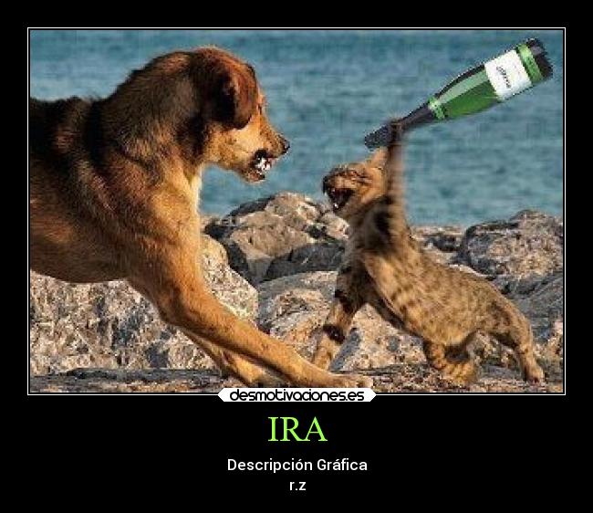 IRA - Descripción Gráfica
r.z