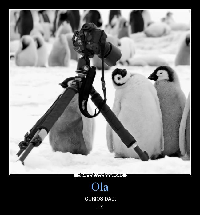 Ola - CURIOSIDAD.
r.z