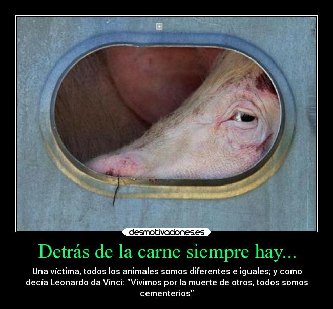 Detrás de la carne siempre hay... - Una víctima, todos los animales somos diferentes e iguales; y como
decía Leonardo da Vinci: Vivimos por la muerte de otros, todos somos
cementerios