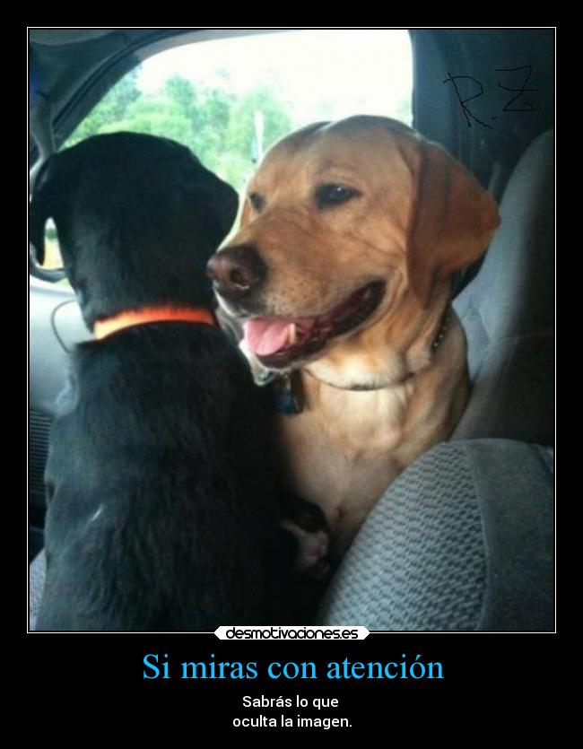 Si miras con atención - Sabrás lo que
oculta la imagen.